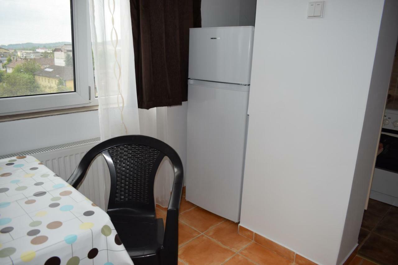Apartament Hospital View Independentei Rhbm Baia Mare Exterior photo